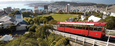 惠灵顿市