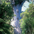 奥克兰,岛屿湾