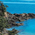 激流岛